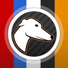 greyhound handicapping secrets|Betting secrets from America's No. 1 expert .